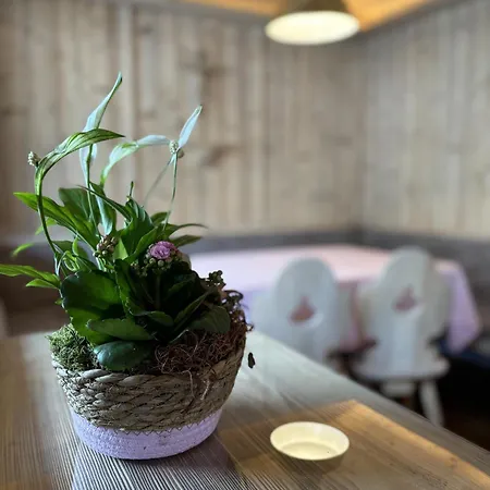 Appartement Rosa Sankt Johann in Tirol Pokoj fotografie