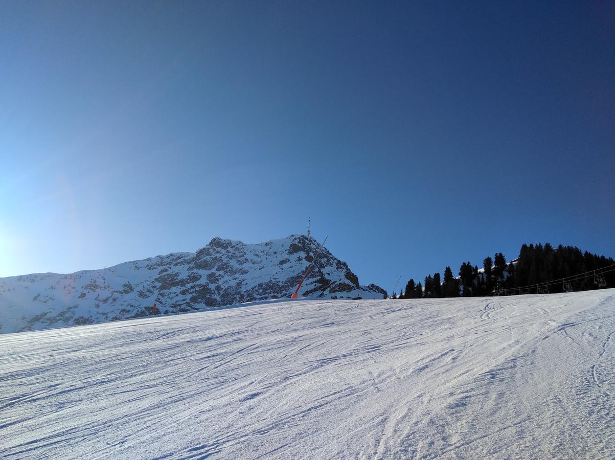Rosa Sankt Johann in Tirol